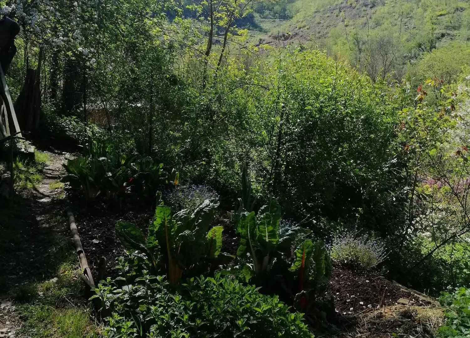Apartmán La Succulente Vivace Cambounes